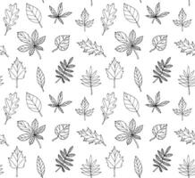 Seamless pattern of hand drawn doodle sketch leaves isolated on white background vector
