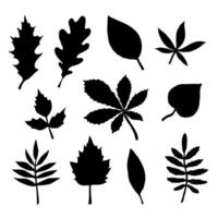 Set bundle of different color hand drawn doodle sketch leaves vector