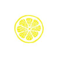 Hand drawn doodle sketch lemon slice isolated on white background vector
