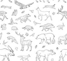 Seamless pattern of hand drawn doodle sketch wild forest animals vector