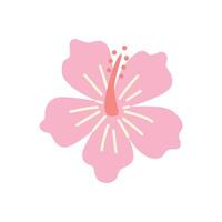Hand drawn pink hibiscus flower . Tropical botanical illustration for summer design, floral decoration, or exotic print projects. vector