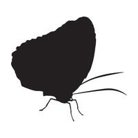 Silhouette of a butterfly on a white background vector