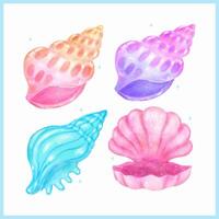 Set of Pastel Conch Seashell and Open Clam shell Blue and Pink Watercolor Sea Shell Gradient vector