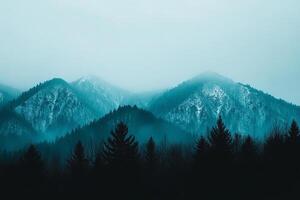 Mountains in the fog with trees in the foreground photo