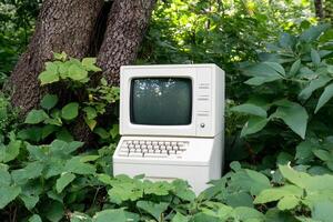 An old computer sitting in the middle of the woods photo