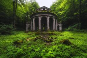 An abandoned building in the middle of a forest photo