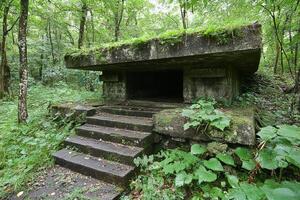 A bunker in the woods with steps leading up to it photo