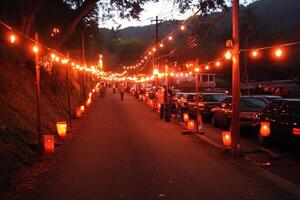A street lined with cars and lit up with string lights photo
