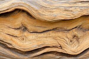 A close up of a tree trunk with a wavy pattern photo
