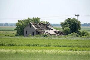 An old house in the middle of a field photo