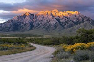 A dirt road with yellow flowers and mountains in the background photo