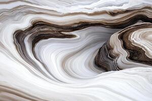 A close up of a rock with white and black swirls photo