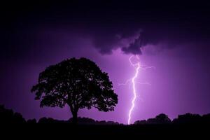 A lightning bolt strikes through the sky over a tree photo