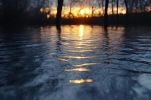 A sunset over a flooded river with trees in the background photo