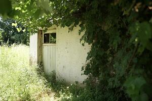 A small white building with a door and a window photo