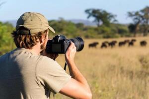 A man taking a photo of elephants in the wild