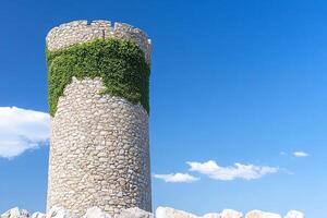 A stone tower with ivy growing on it photo