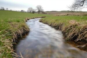 A stream runs through a field with grass and trees photo
