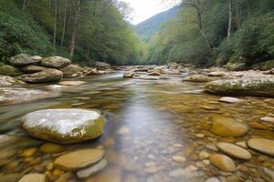 A river with rocks and trees in the background photo