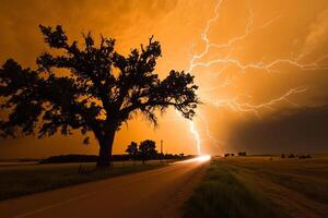 A lightning bolt is seen over a tree in the middle of a field photo