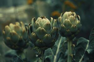 Artichokes and greenery in a moody, dark still life. photo
