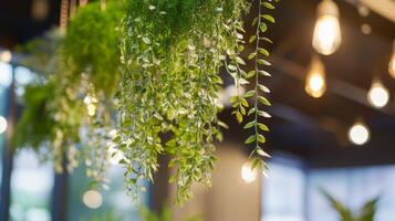 Hanging green plants create a vibrant indoor atmosphere with warm lighting in a cozy cafe setting photo