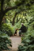 Man sits on a bench in a green park as he interacts with his dog on a peaceful afternoon in nature photo
