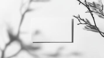 Blank card with delicate shadows cast by branches in a minimalist setting during daylight photo