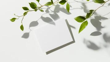 Textured green leaves cast shadows over a blank card on a light surface during daylight hours photo