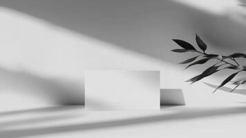 Minimalist display featuring blank card and plant shadows in natural light setting photo