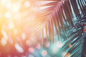 Beautiful tropical background with sun rays shining through palm leaves on a bright summer day photo