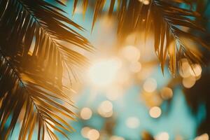 Tropical summer backdrop with sun rays sparkling on palm leaves and blue sky, capturing the essence of a serene vacation afternoon photo