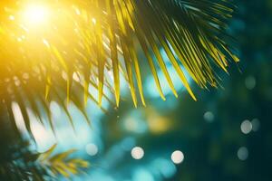 A vibrant summer afternoon with golden sun rays shining through tropical palm leaves and a sparkling sea background photo