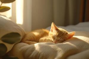 Ginger kitten peacefully napping on a soft bed in a bright room illuminated by gentle daylight photo