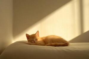 A ginger kitten peacefully napping on a soft bed in a bright room illuminated by soft daylight photo