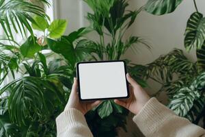 A person holds a smartphone with a blank screen surrounded by indoor plants in a bright, minimalistic setting photo