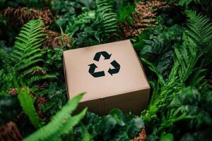 Cardboard box with recycling symbol surrounded by lush greenery and ferns showcasing eco-friendly practices in nature photo