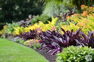 Organized garden bed with alternating rows of vibrant plants showcasing optimal growth in a sunny outdoor environment photo