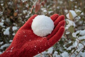 A hand cradles a snowball in a cozy knitted glove during a serene winter day surrounded by nature photo