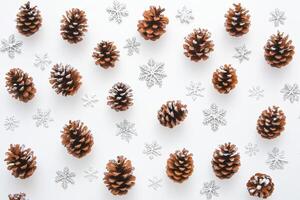 Snow-covered pinecones and delicate snowflakes arranged beautifully on a crisp white background in a winter wonderland setting photo