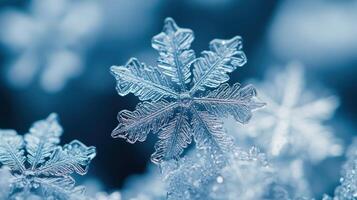 Close-up Snowflake Winter Nature Macro Photography photo