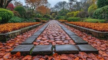 Autumnal garden path leading to archway photo
