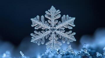 Intricate Snowflake on Snow, Winter Macro Photography, Nature Background, Holiday Card photo