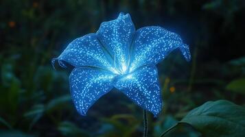 Glowing blue lily at night, fantasy garden background, magical flora, ideal for fantasy art photo