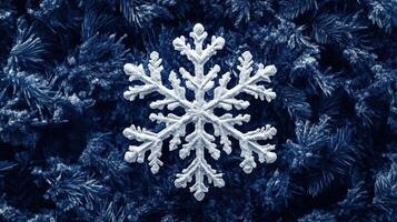 White snowflake on blue pine branches, winter holiday background, card design photo