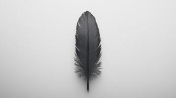 Single black feather on white background, minimalist design, nature texture photo