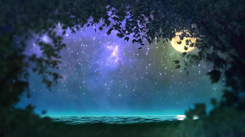 Night Forest Loop Stock Video Footage for Free Download