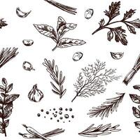 Hand drawn vintage seamless pattern with garlic, herbs, pepper and onion in engraved style vector