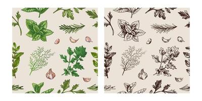 Seamless pattern of culinary herbs and garlic in engraved vintage style, color and monochrome versions included vector