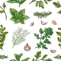 Seamless pattern of herbs and garlic in hand drawn vintage engraving style with colored elements vector